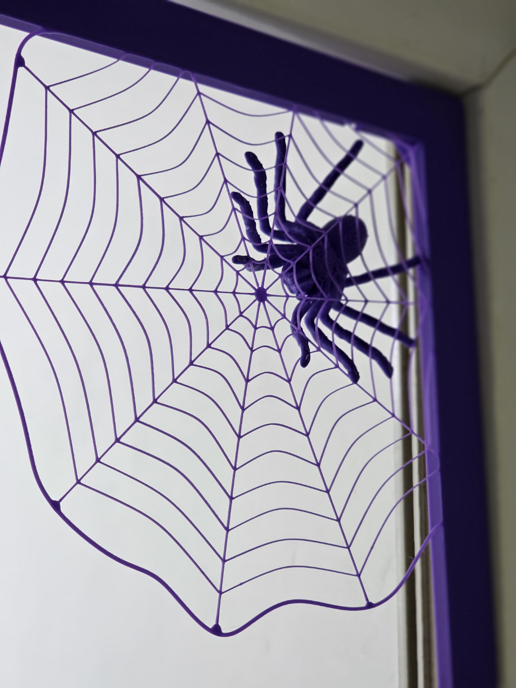 Spider in web