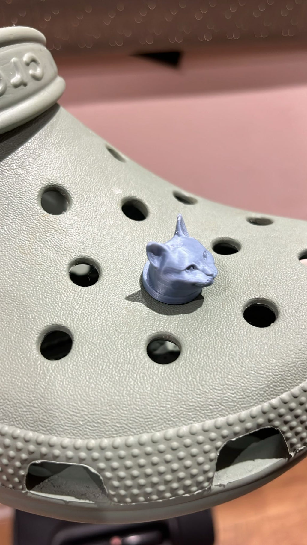 Cat Croc Charm