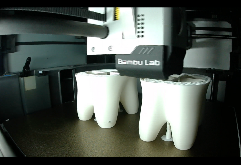 Toothbrush Tooth holder