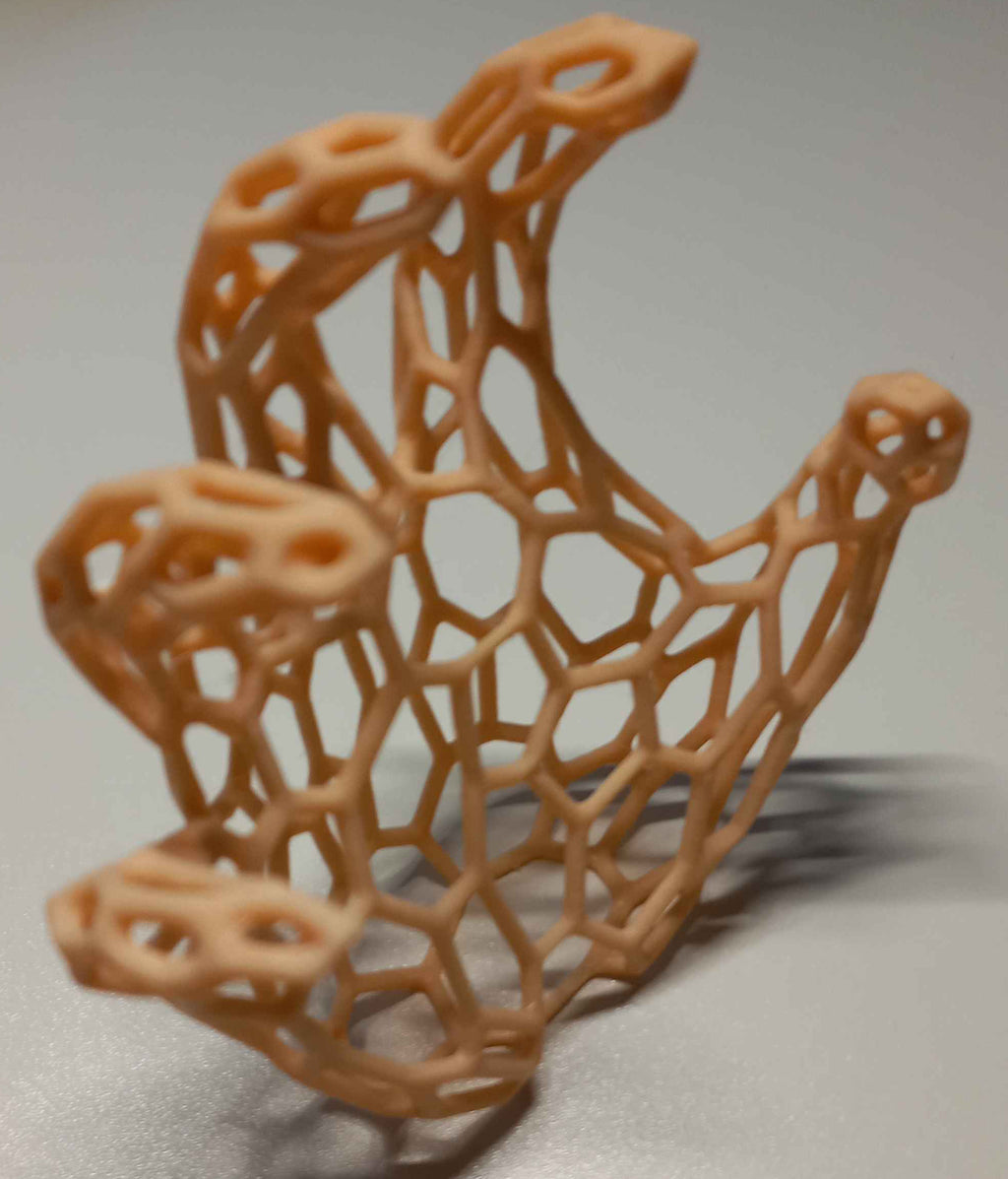 Human Hand Voronoi