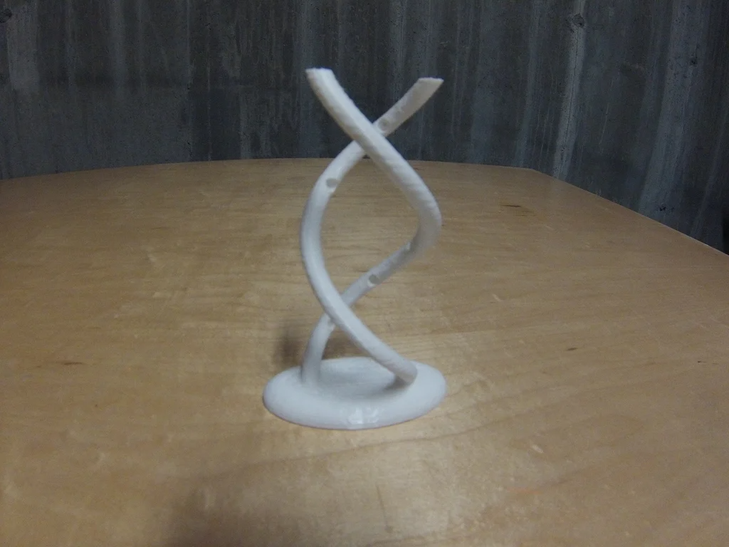 Interactive DNA Model
