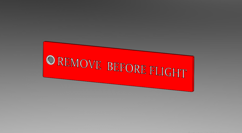 Remove Before Flight