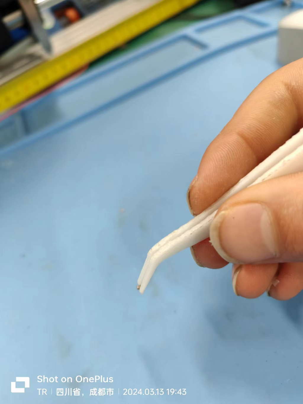 尖头镊子和弯头镊子 Pointed and elbowed tweezers