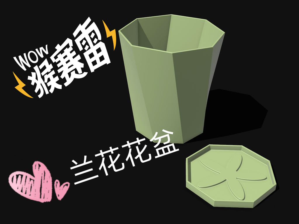 简约兰花花盆
