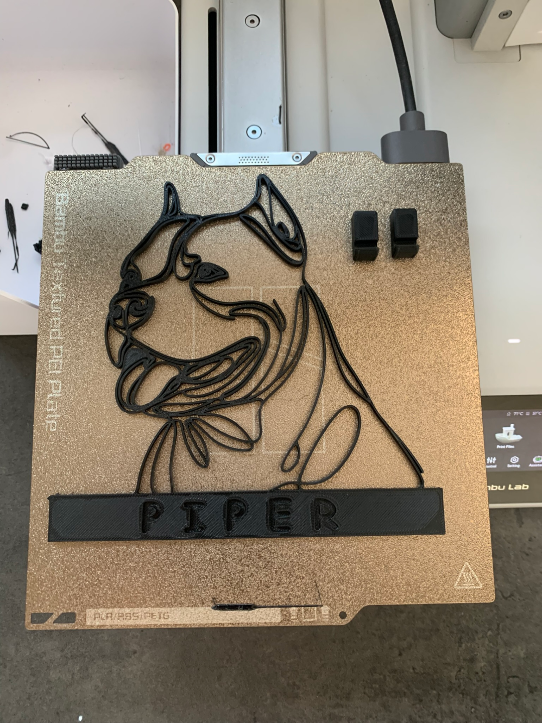2d art Pitbull memorial frame
