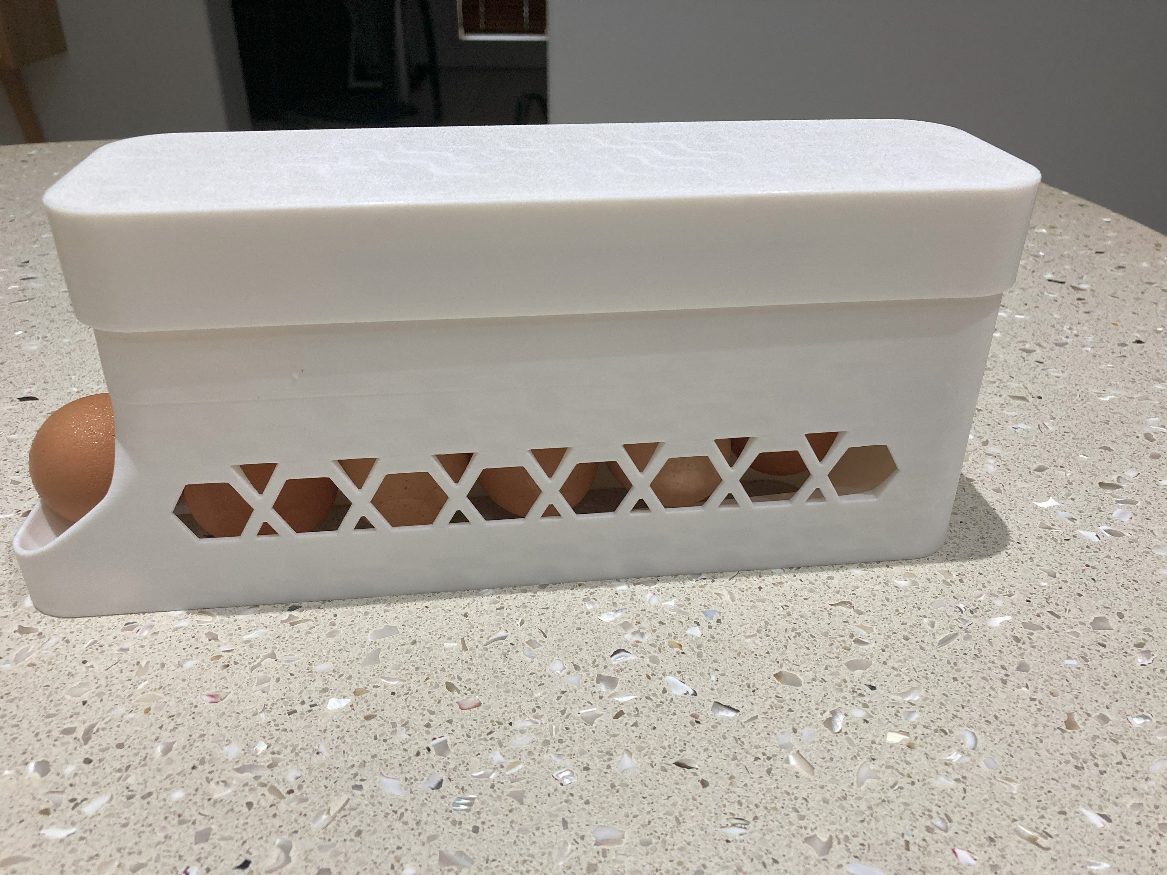 Egg Holder Lid
