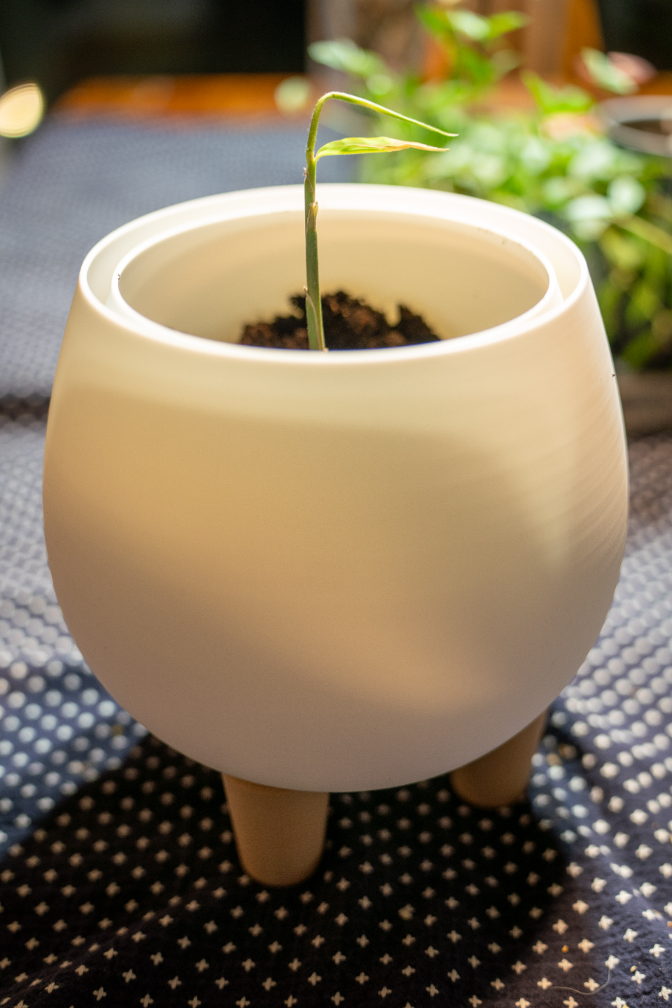 Pot with wooden legs