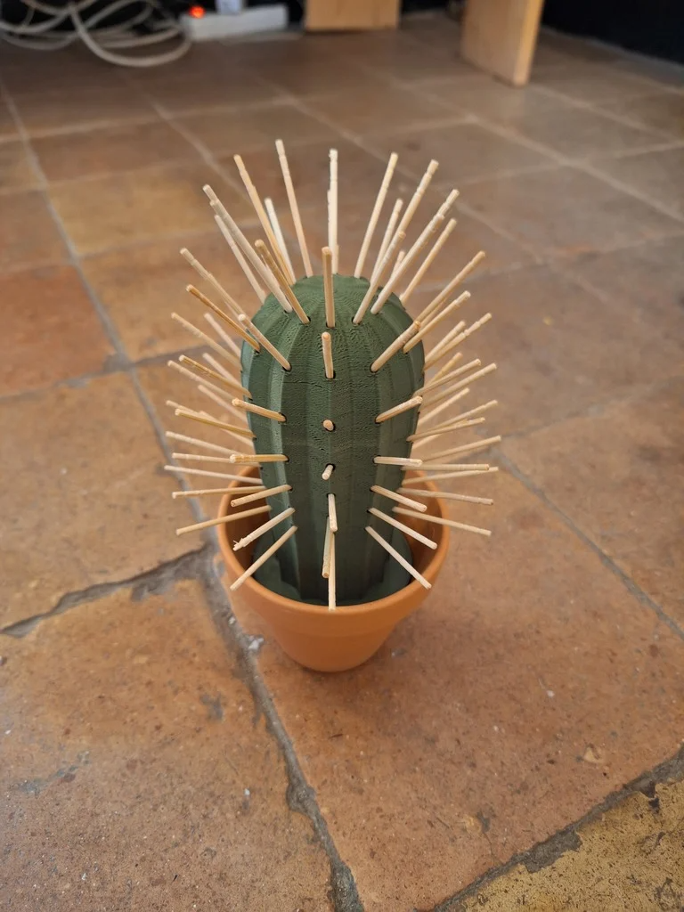 Cactus Toothpick Holder With Pot