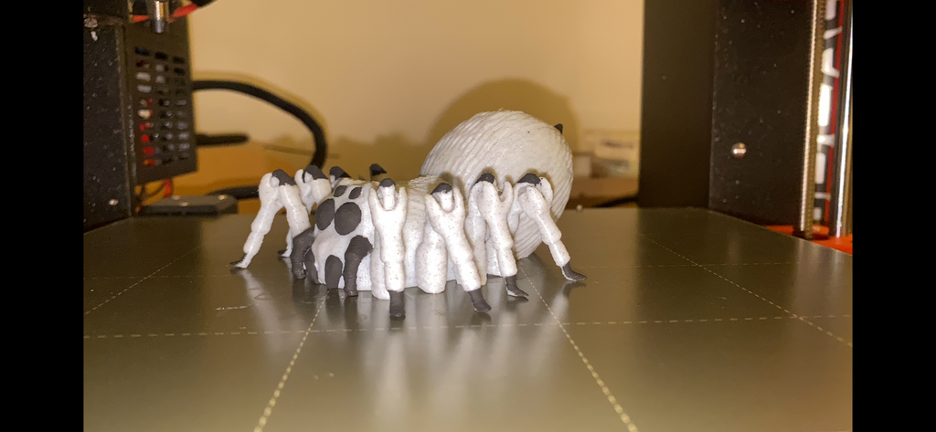 Flexi Spider