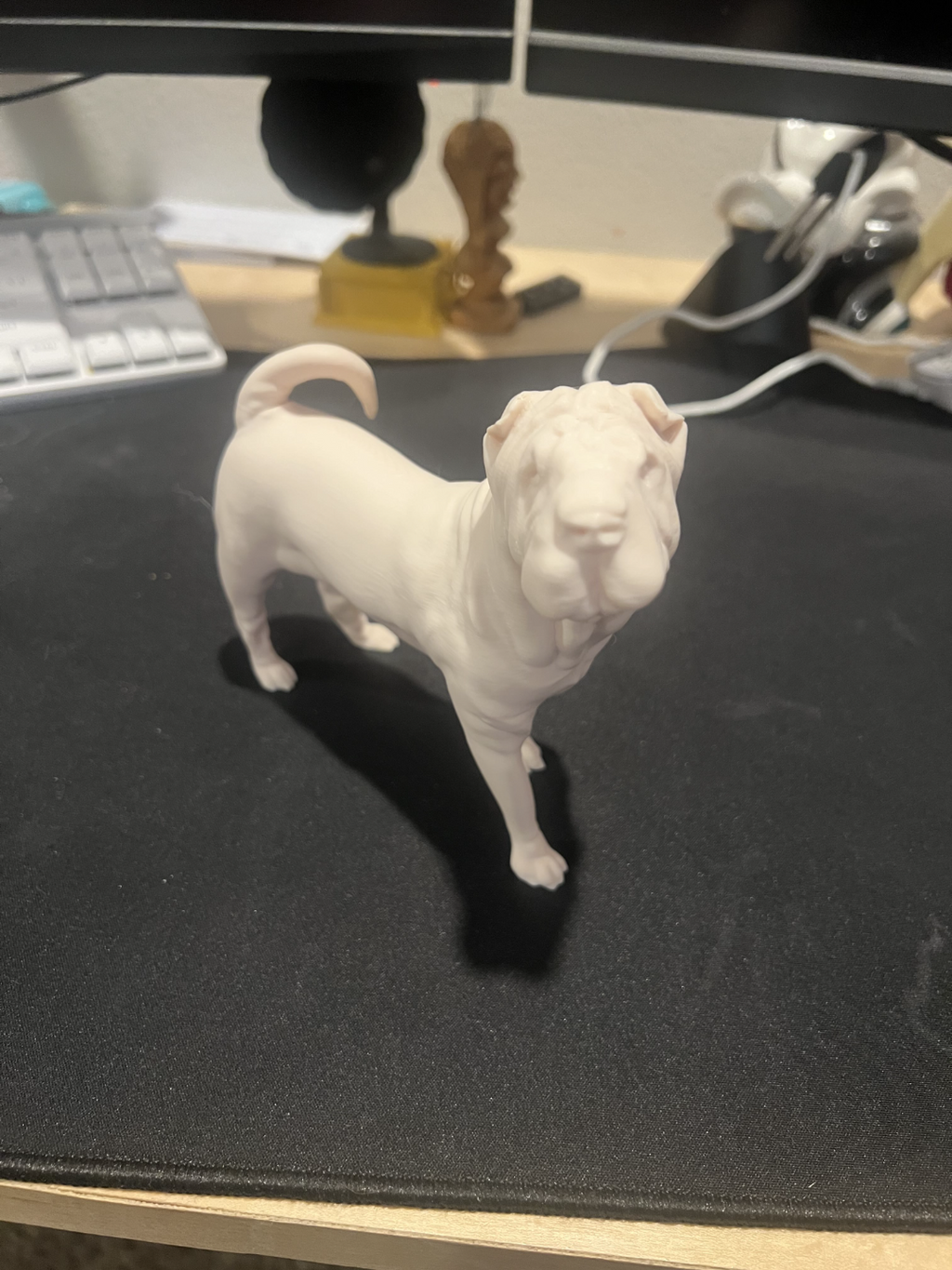 Shar Pei Dog