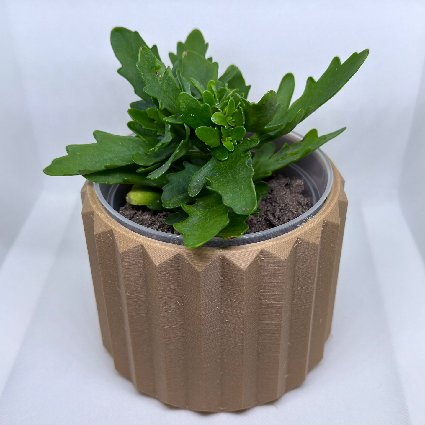 Geometric Column Planter