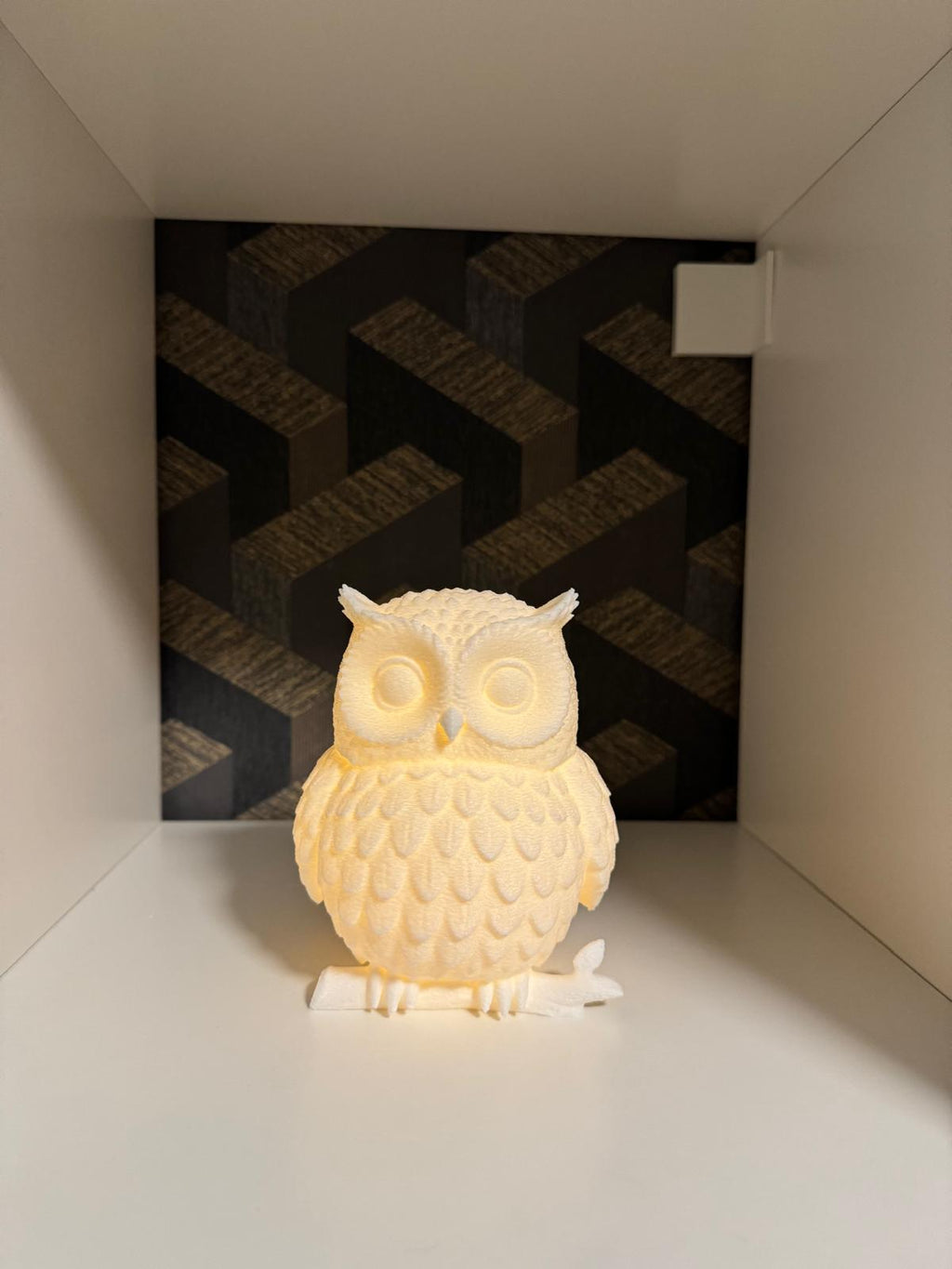 Owl LED