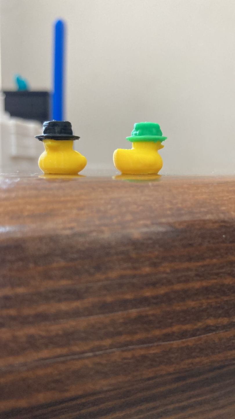 Tiny duck wearing a bucket hat