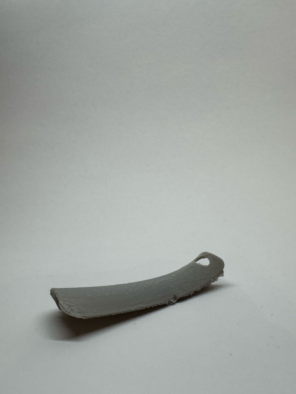 Shoe Horn