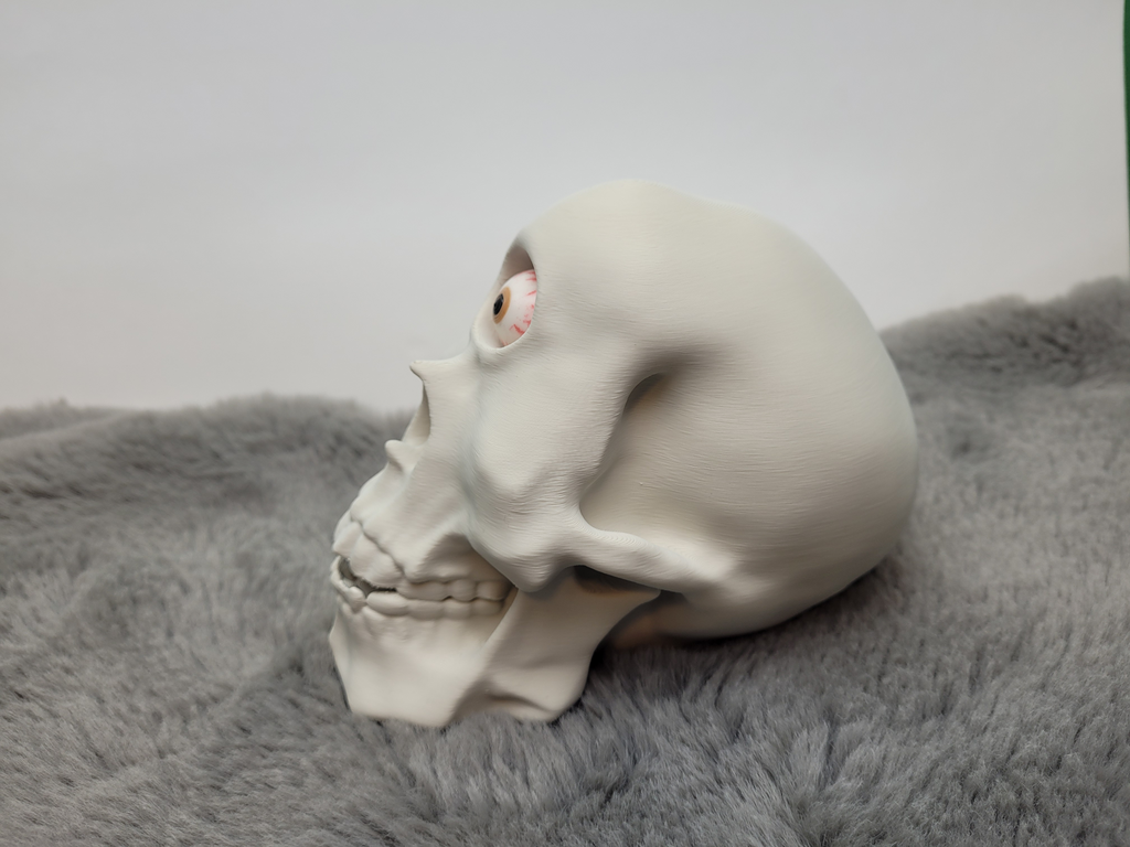 Cyclops Skull