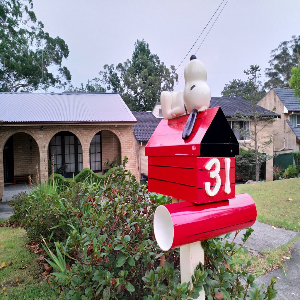 Snoopy letterbox / Mailbox :2 colors No AMS