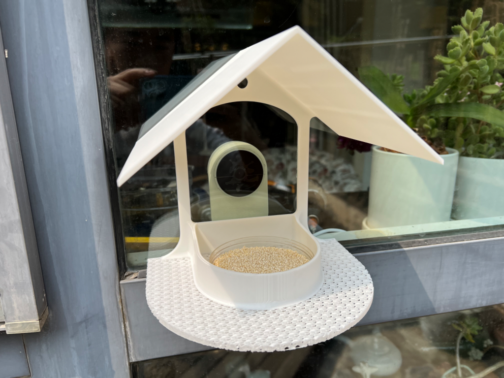 window bird feeder 窗外喂鸟的