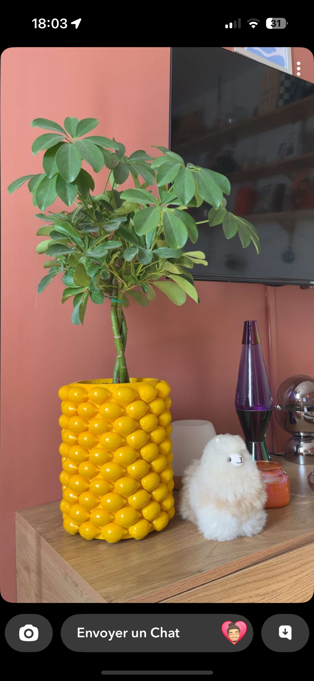 Vase Citron