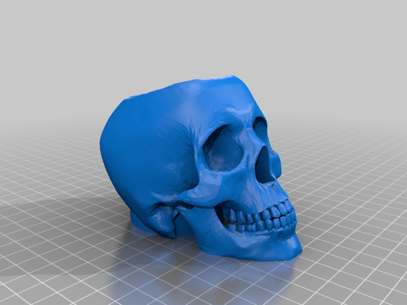 Skull Pen & Pencil Holder Cup for Desk