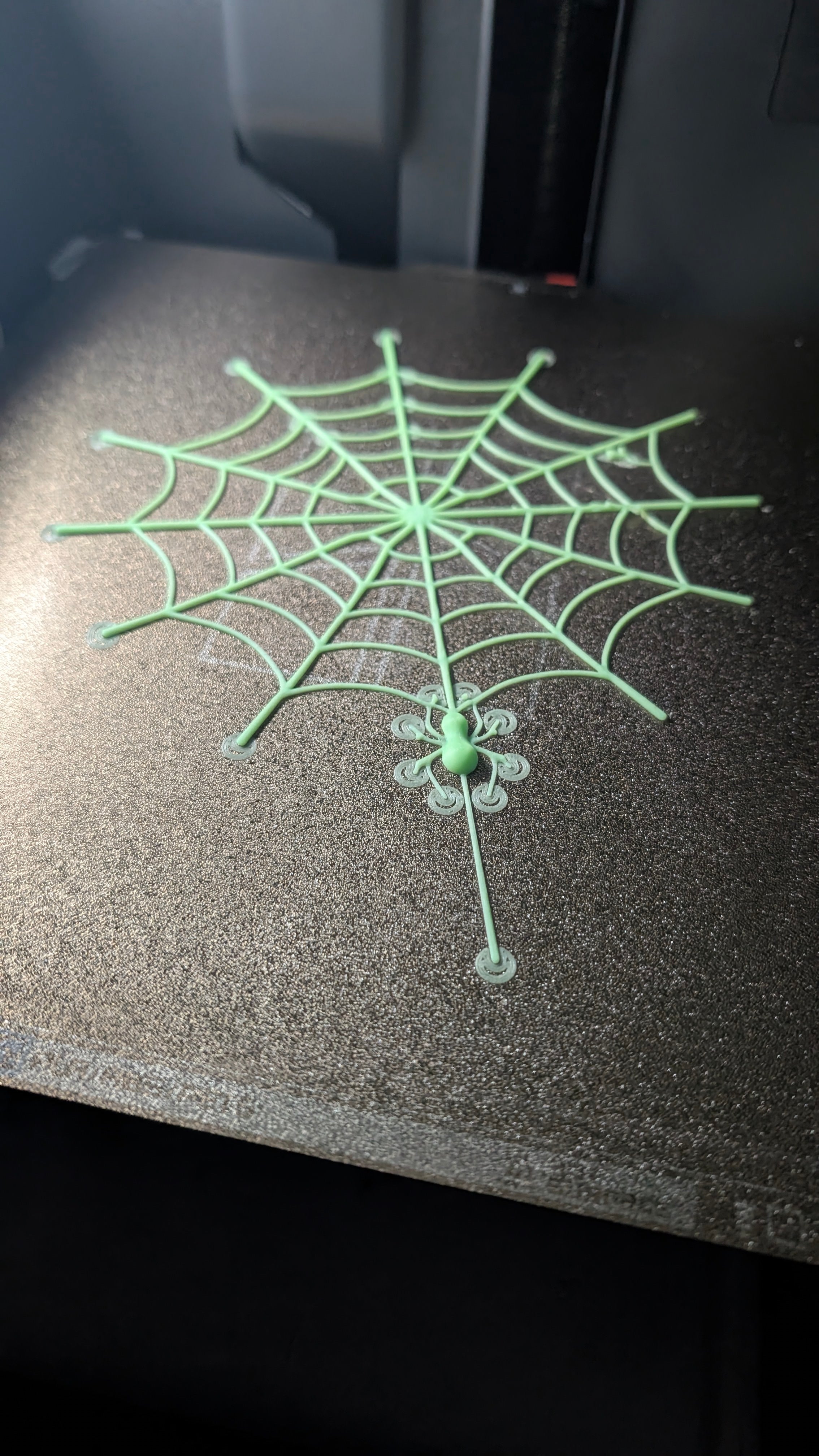 Spiderweb Glow