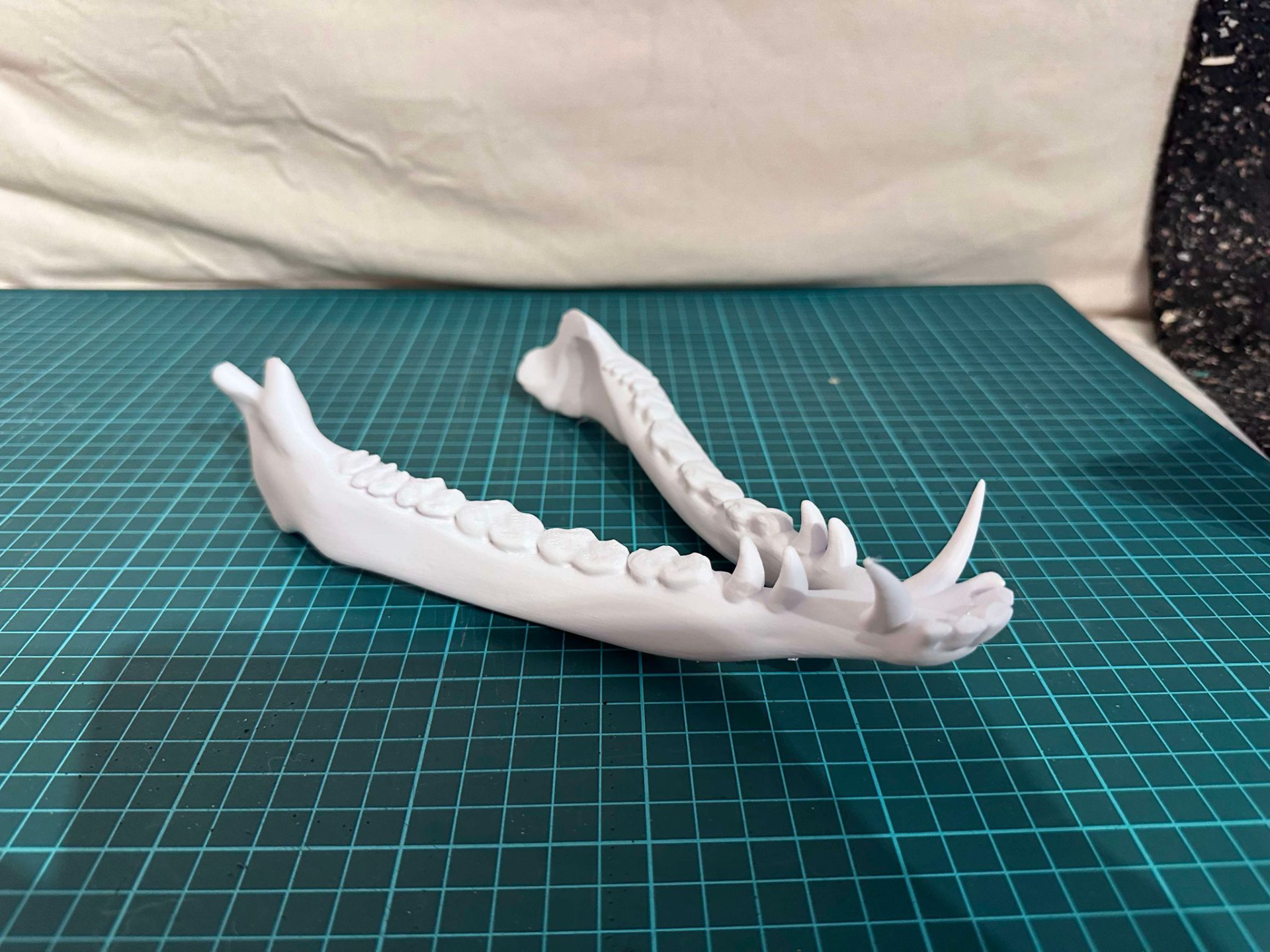 Monster Skull Mask