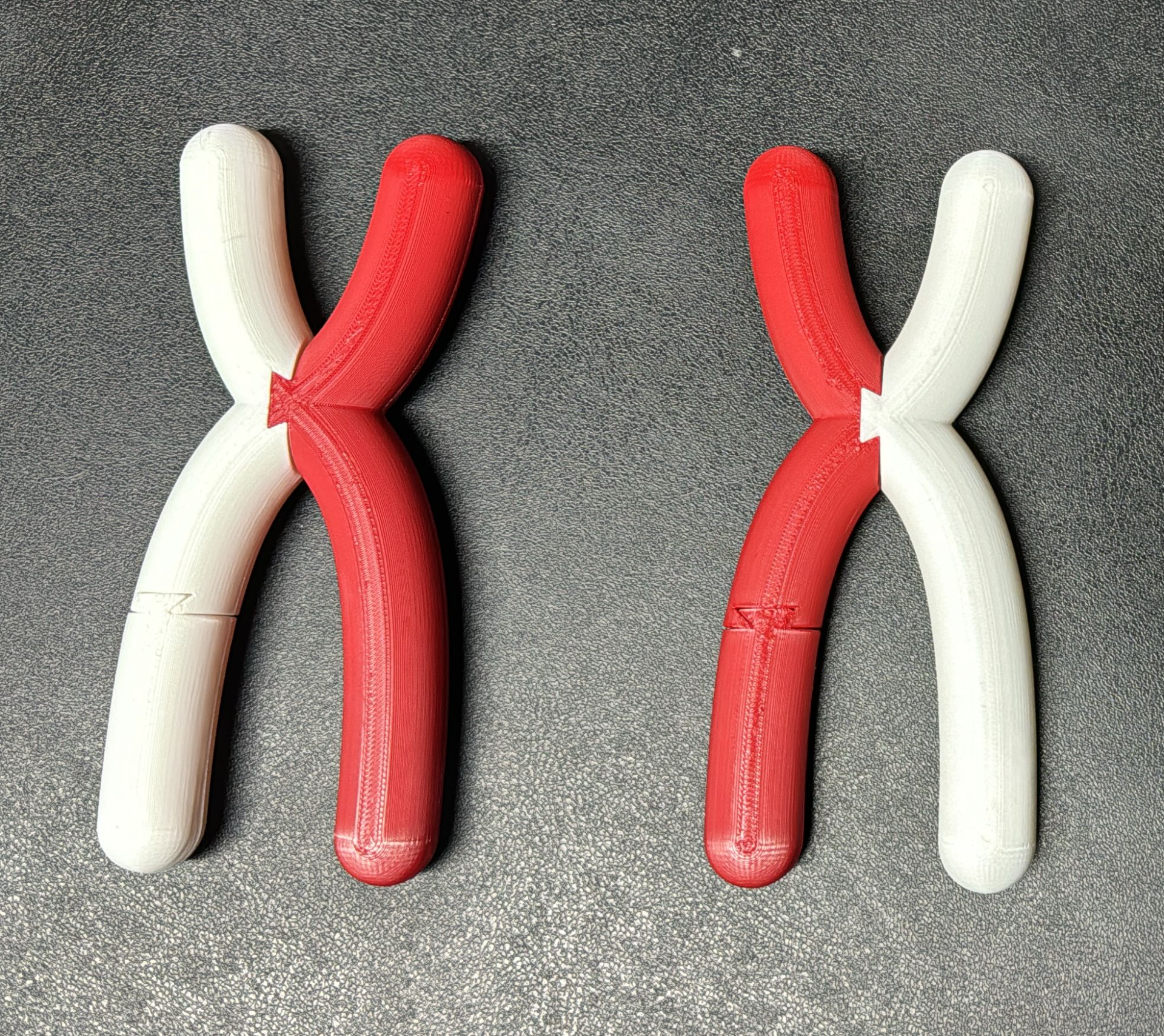 Chromosome