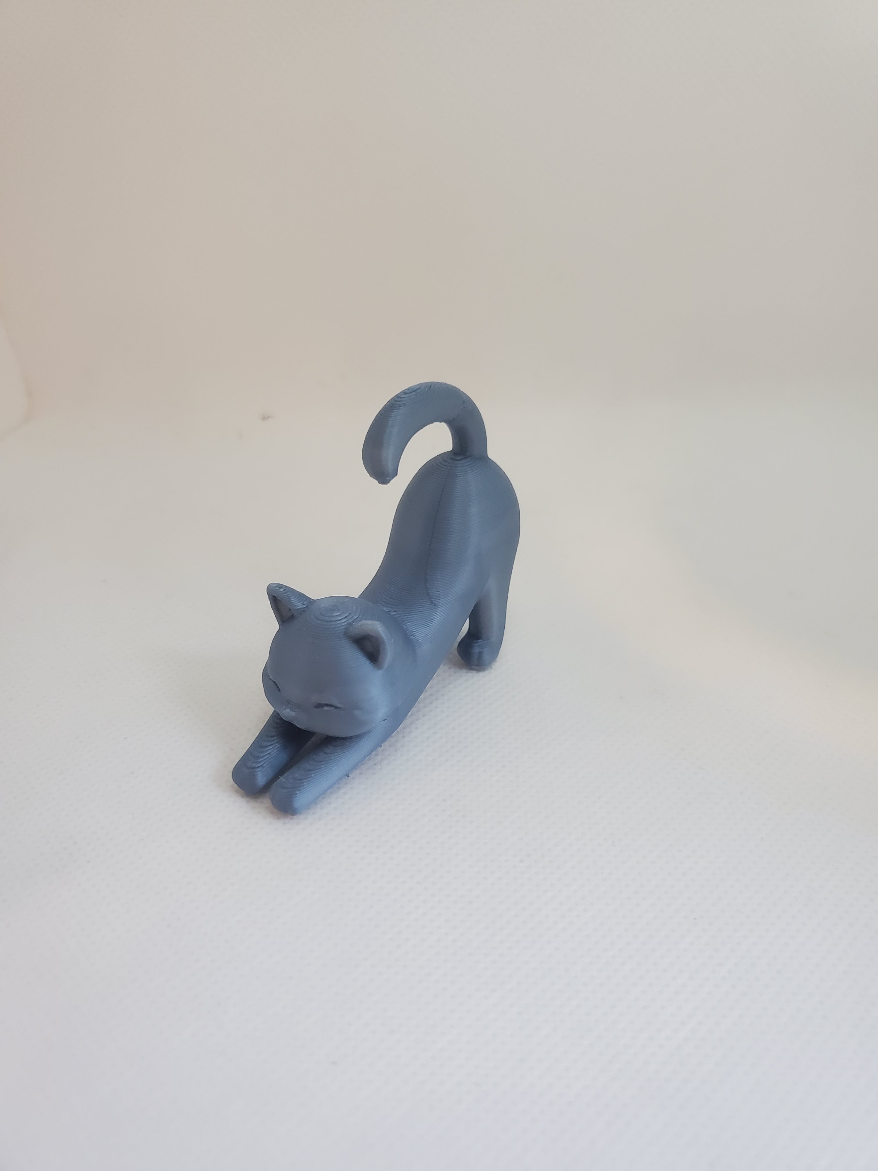 Cute Modern Stretching Cat