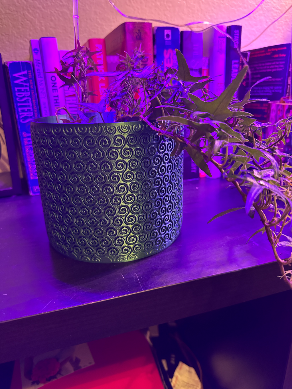Planter v6