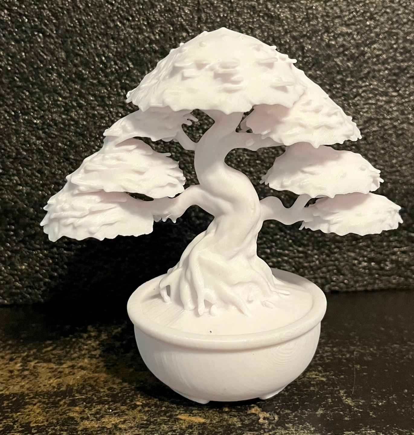 Bonsai Tree