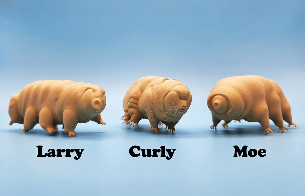 The Tardigrades - 3 Models