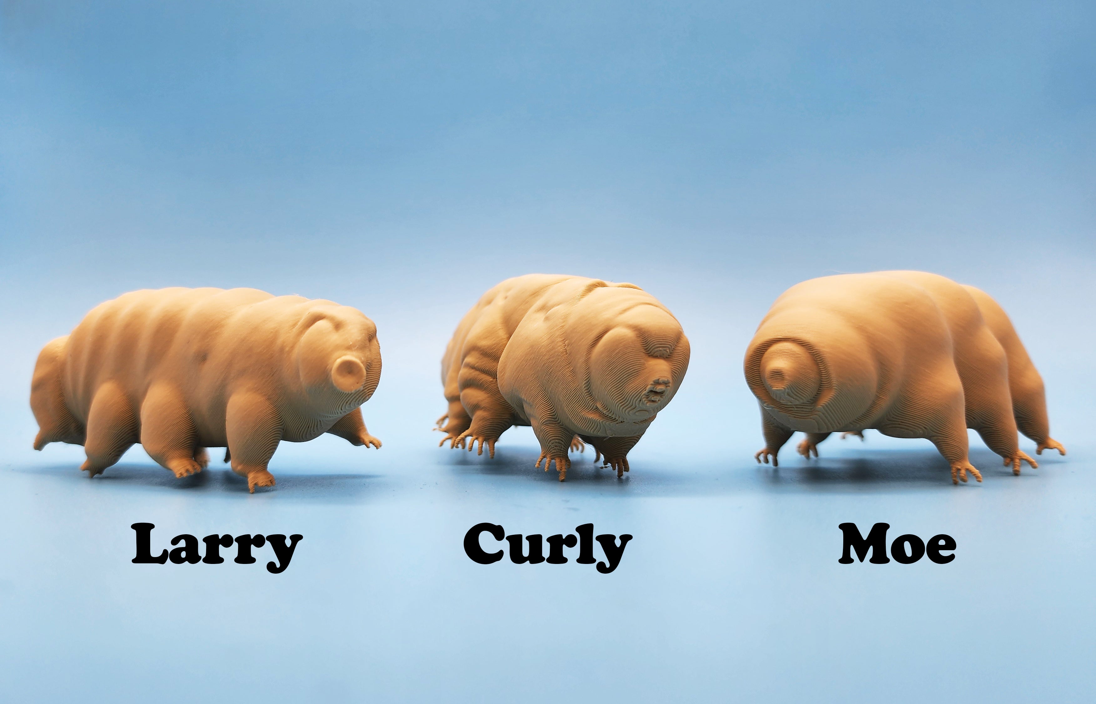 The Tardigrades - 3 Models