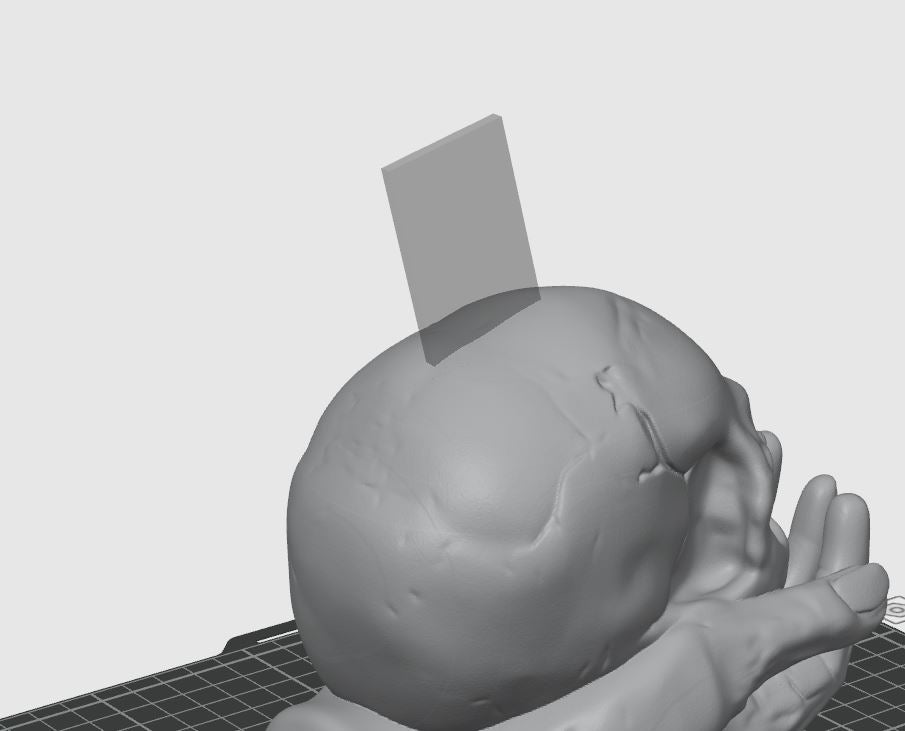 Skull in Hand - Coin bank / Piggy bank