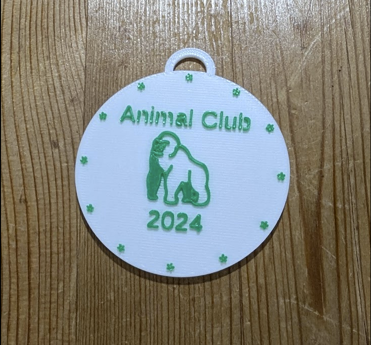 Customizable Medal