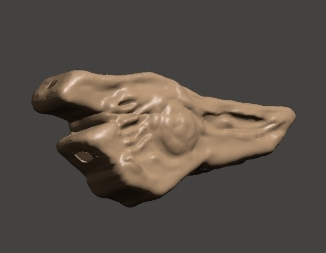 Velociraptor Resonating Chamber