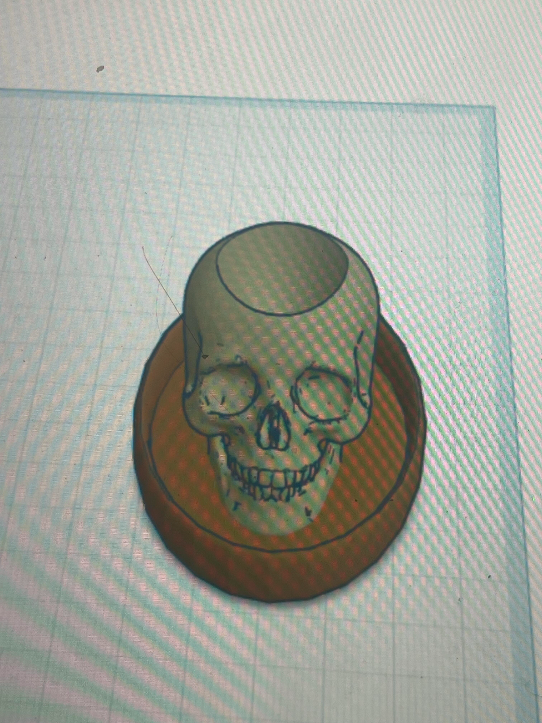 Succulent skull planter