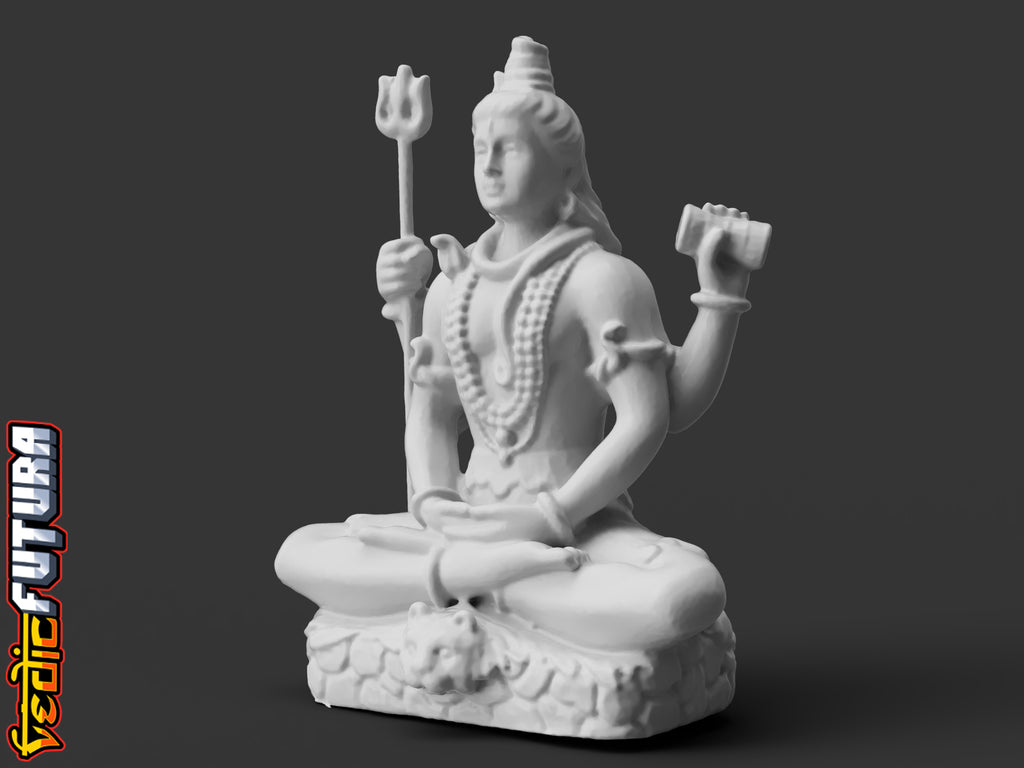Shiva in Meditation on Tiger Skin