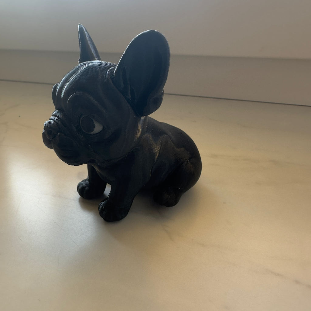 Frenchie Bulldogge