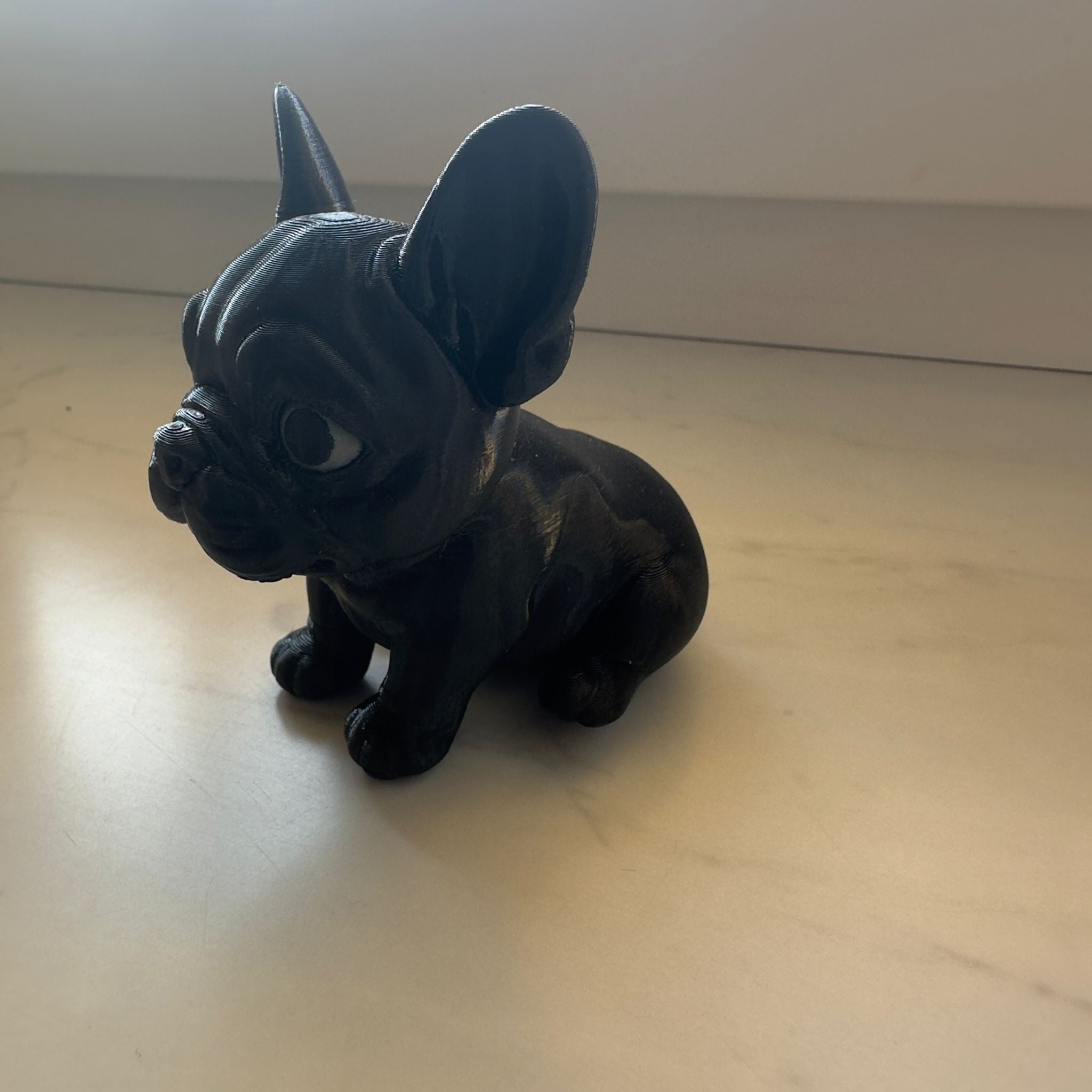 Frenchie Bulldogge