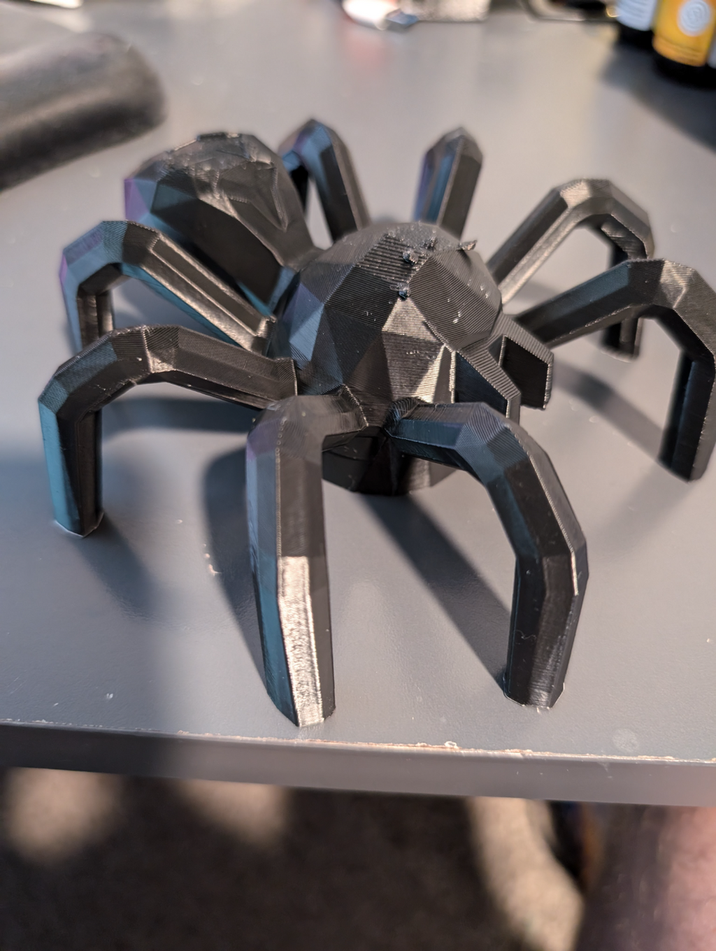 Giant Brick Wreath Spider