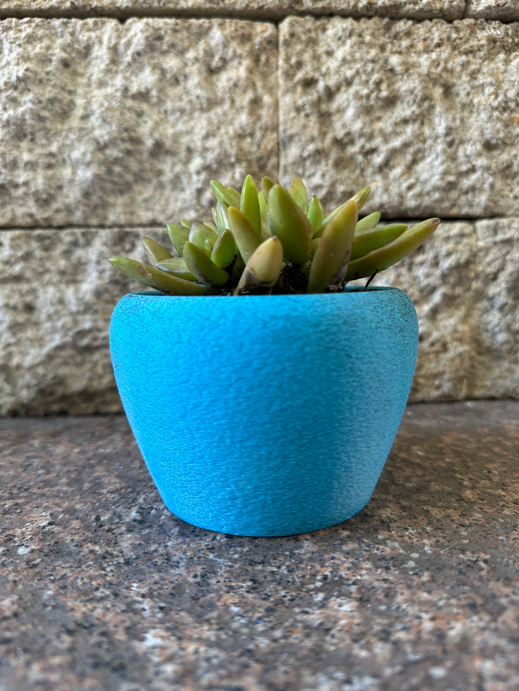 Plant pot / Succulent Container / Planter