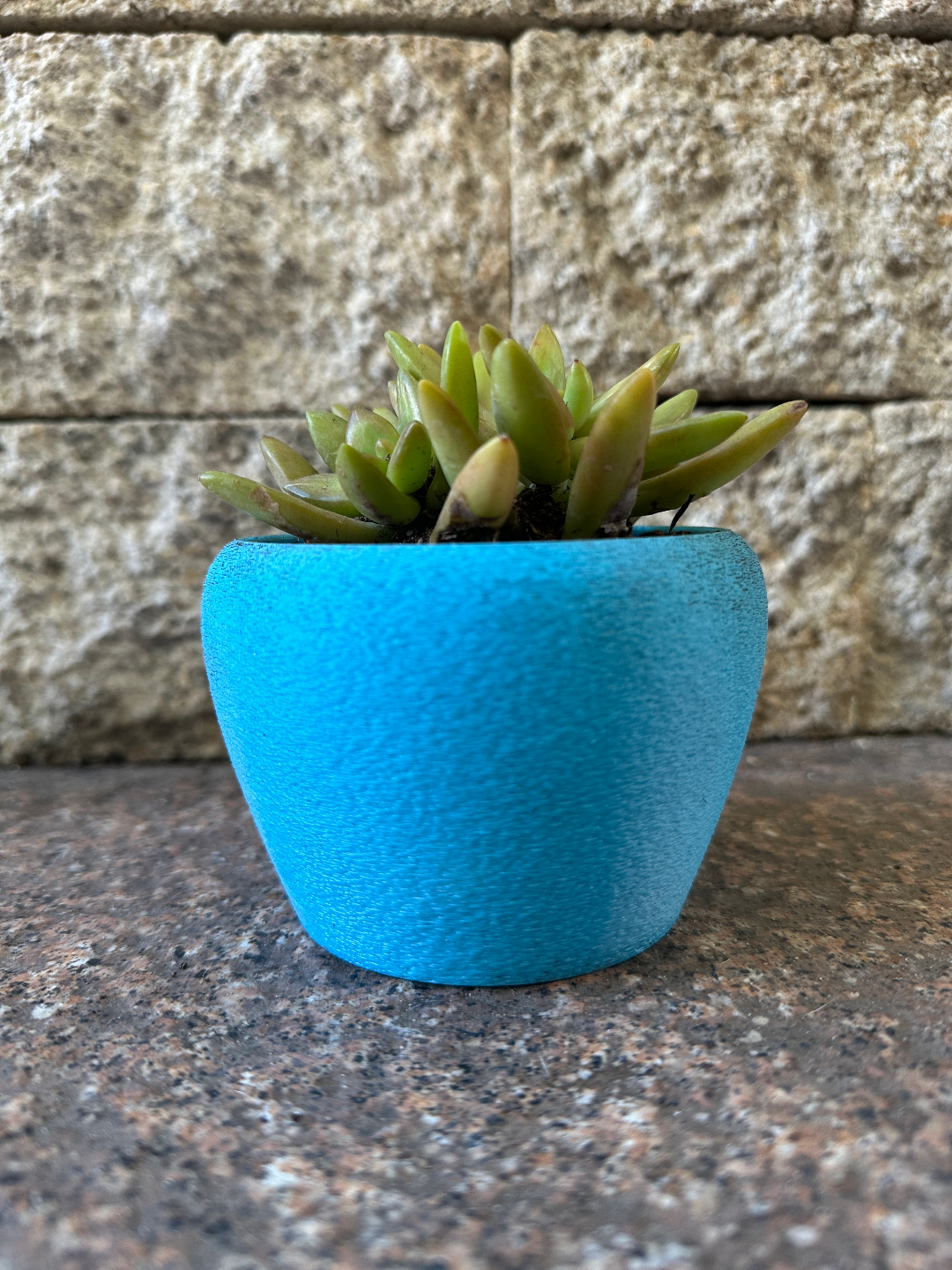 Plant pot / Succulent Container / Planter