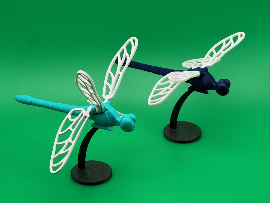 Voronoi Dragonfly
