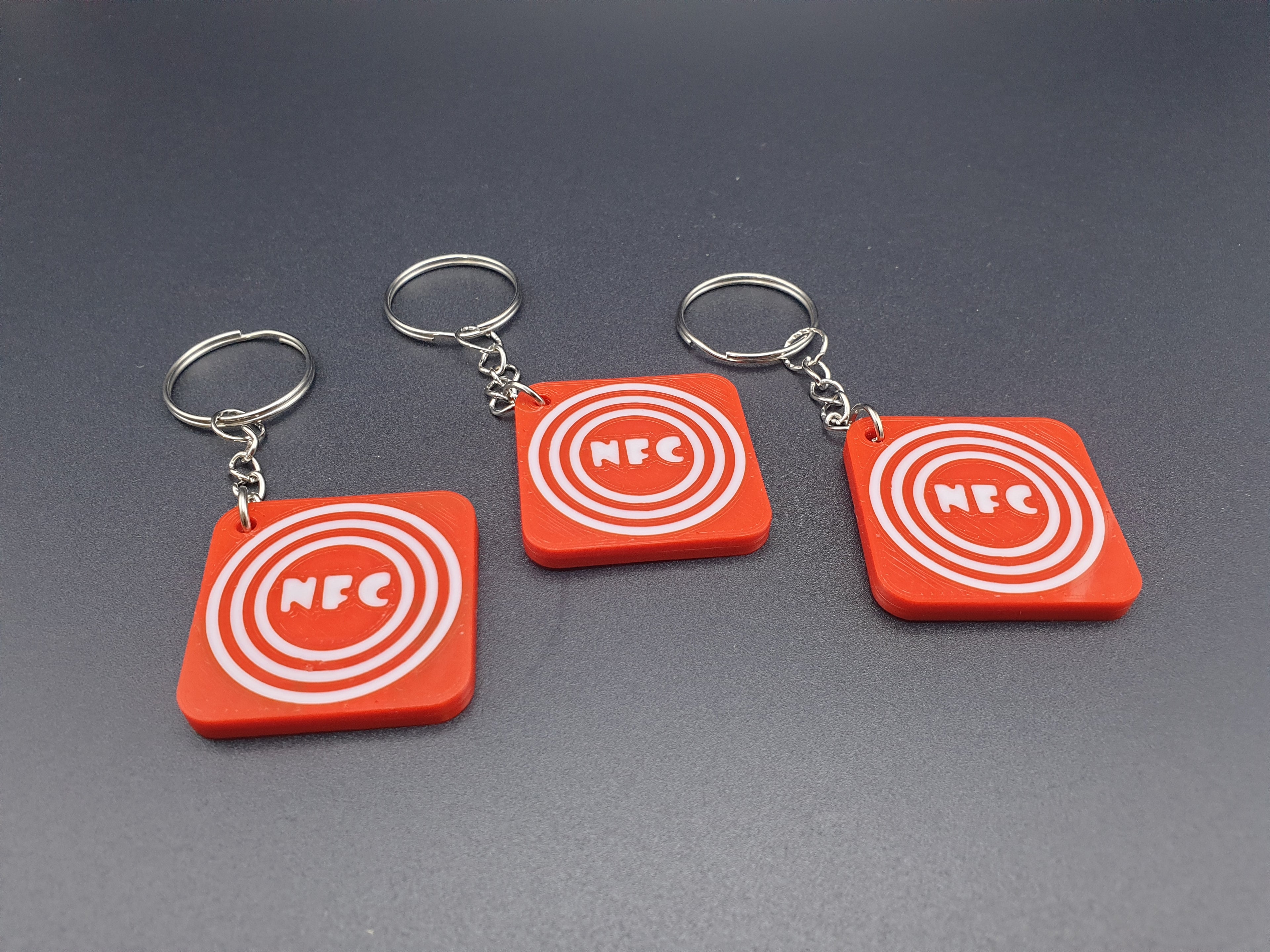 NFC Tag Keychain