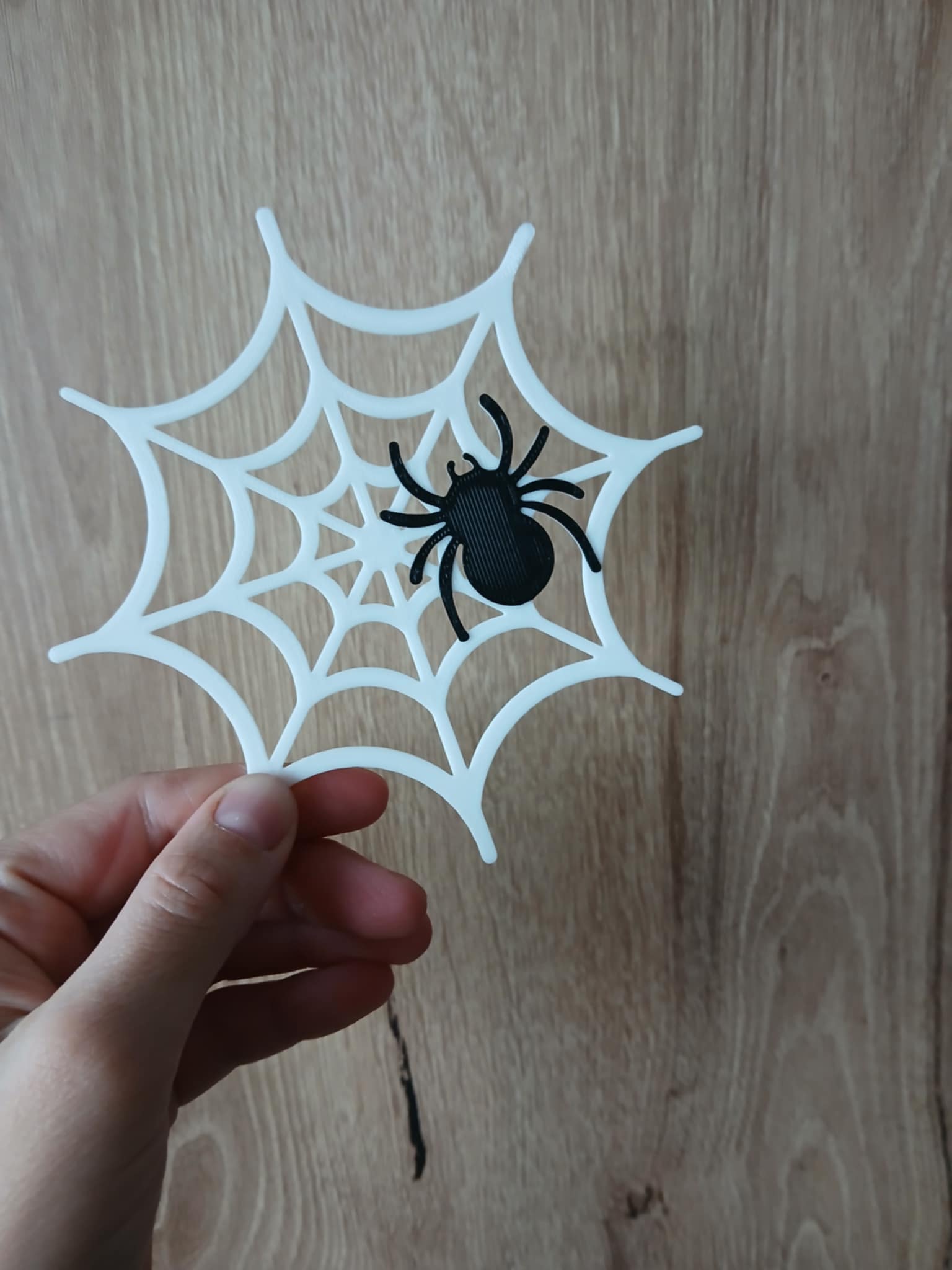 Spider & web decor