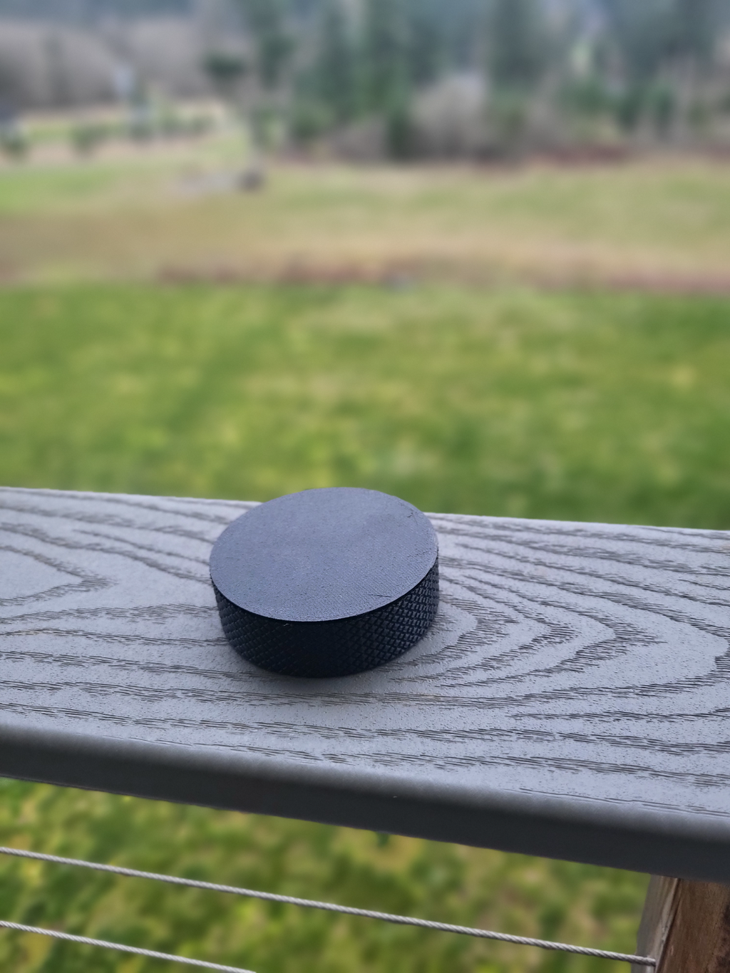Ice Hockey Puck (hollow with lid)