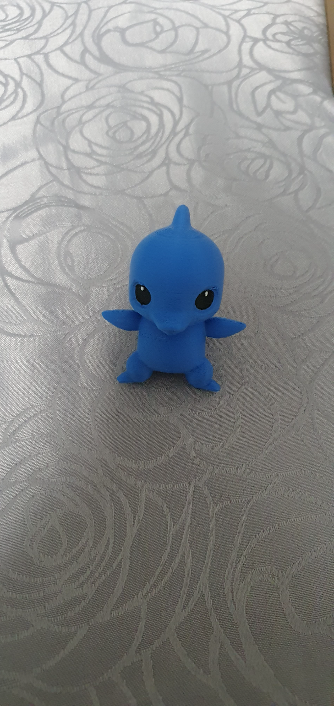 Little Dolphin