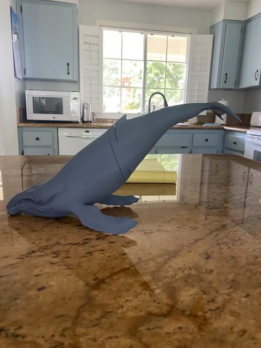 Gray Whale.