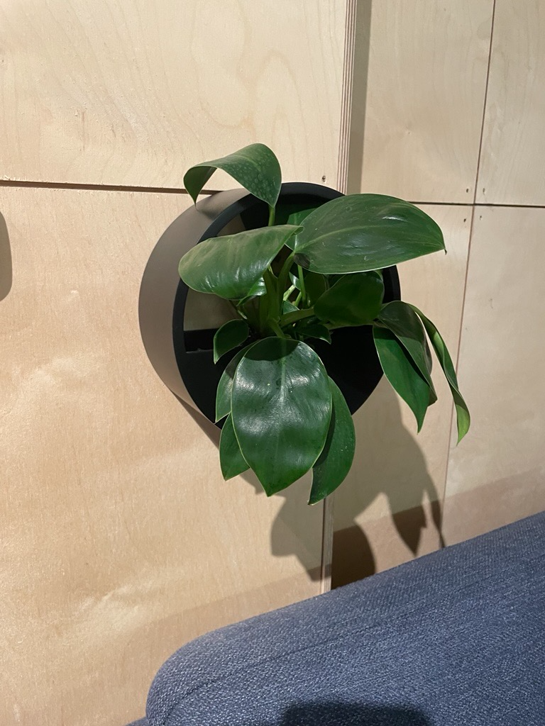 Modern Wall Flower Pot Design