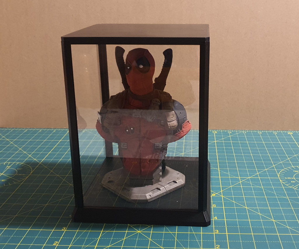 Display Case