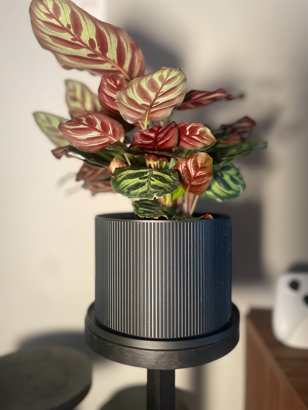 6 Inch Planter (Midcentury Modern)